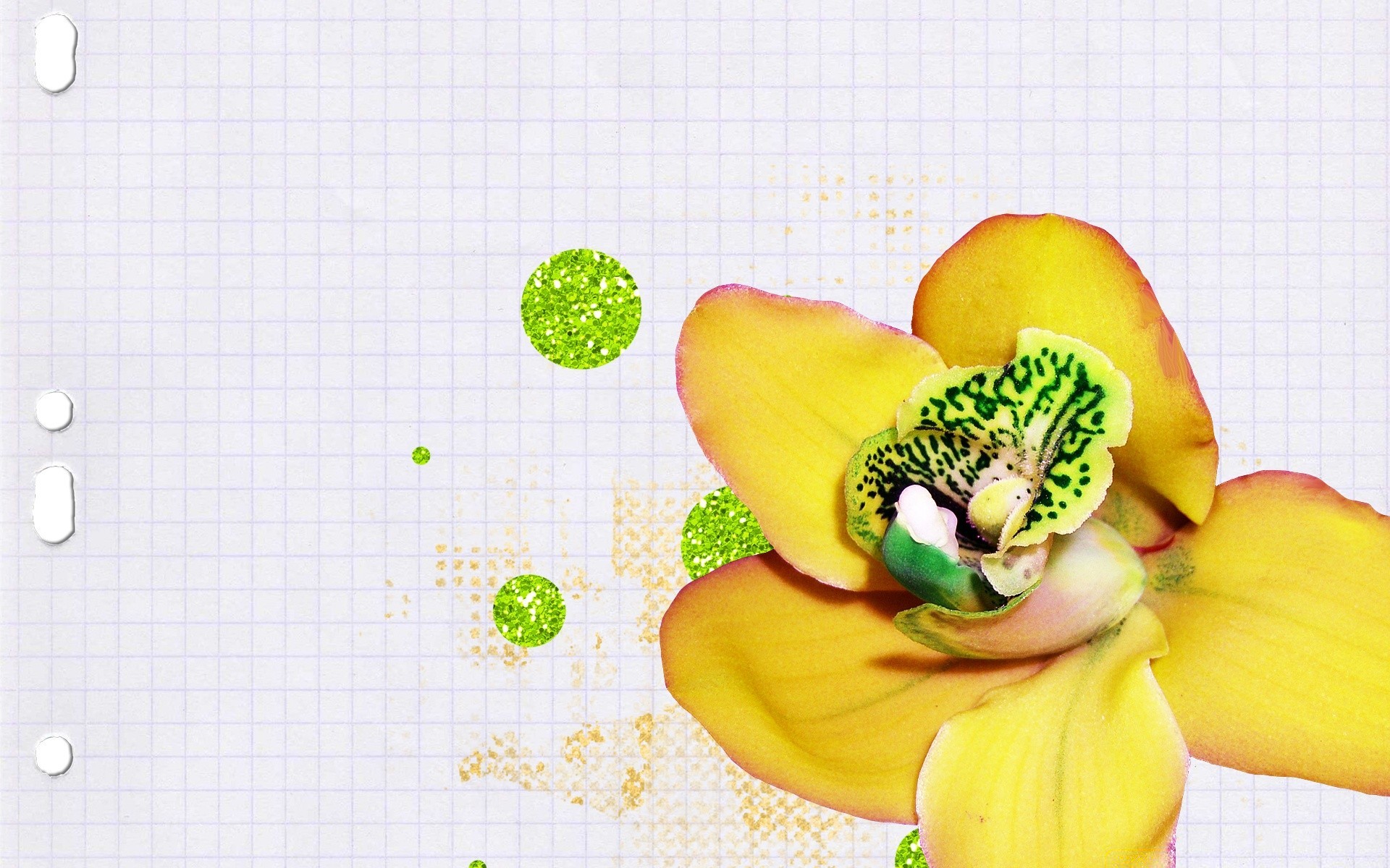 création bureau fleur couleur été nature papier