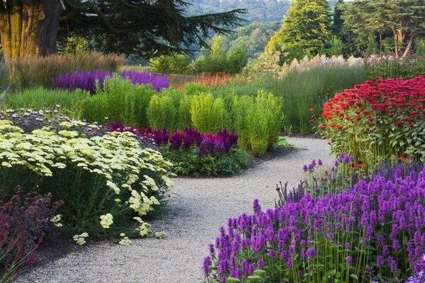 A twisted path between flowerbeds