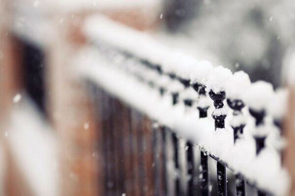 La sensación del invierno a través de la foto