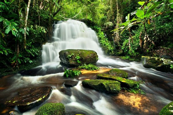 Hindernisse am Wasserfall im Wald, kein Problem