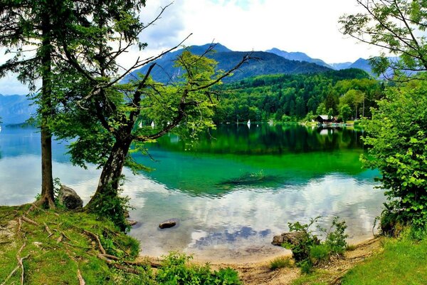 Teich und Wald beste Landschaft