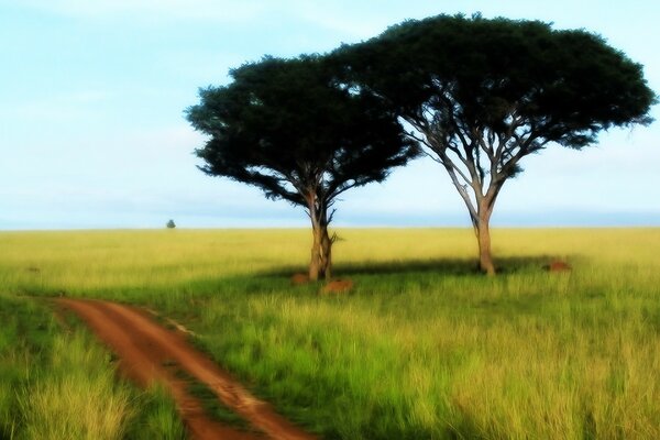 Ein Baum wächst auf einem Feld auf dem Rasen