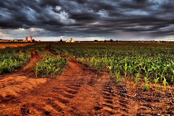 Nuvens pairavam sobre o campo