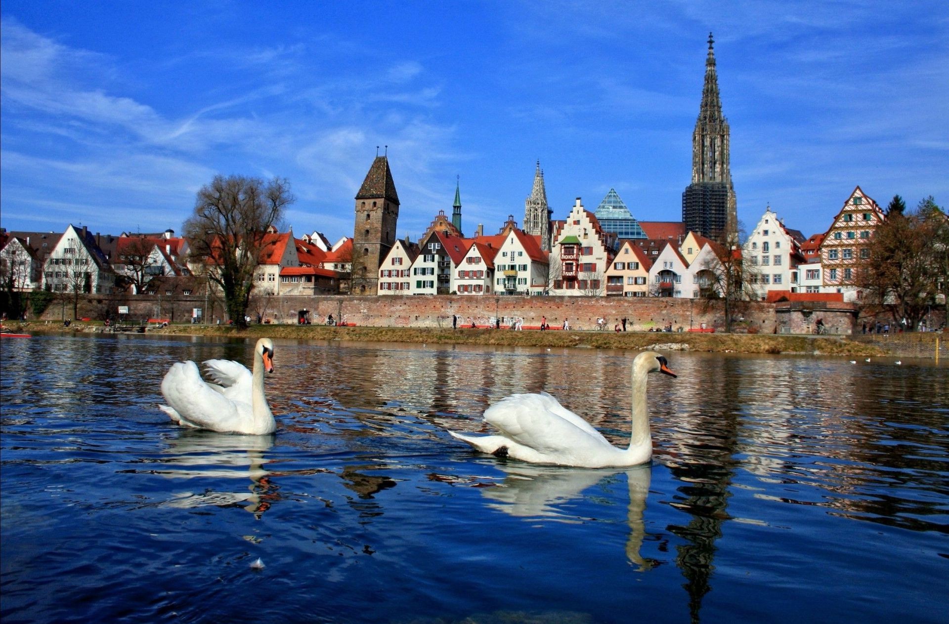 stadt wasser reisen architektur fluss reflexion see kirche himmel haus tourismus schwan