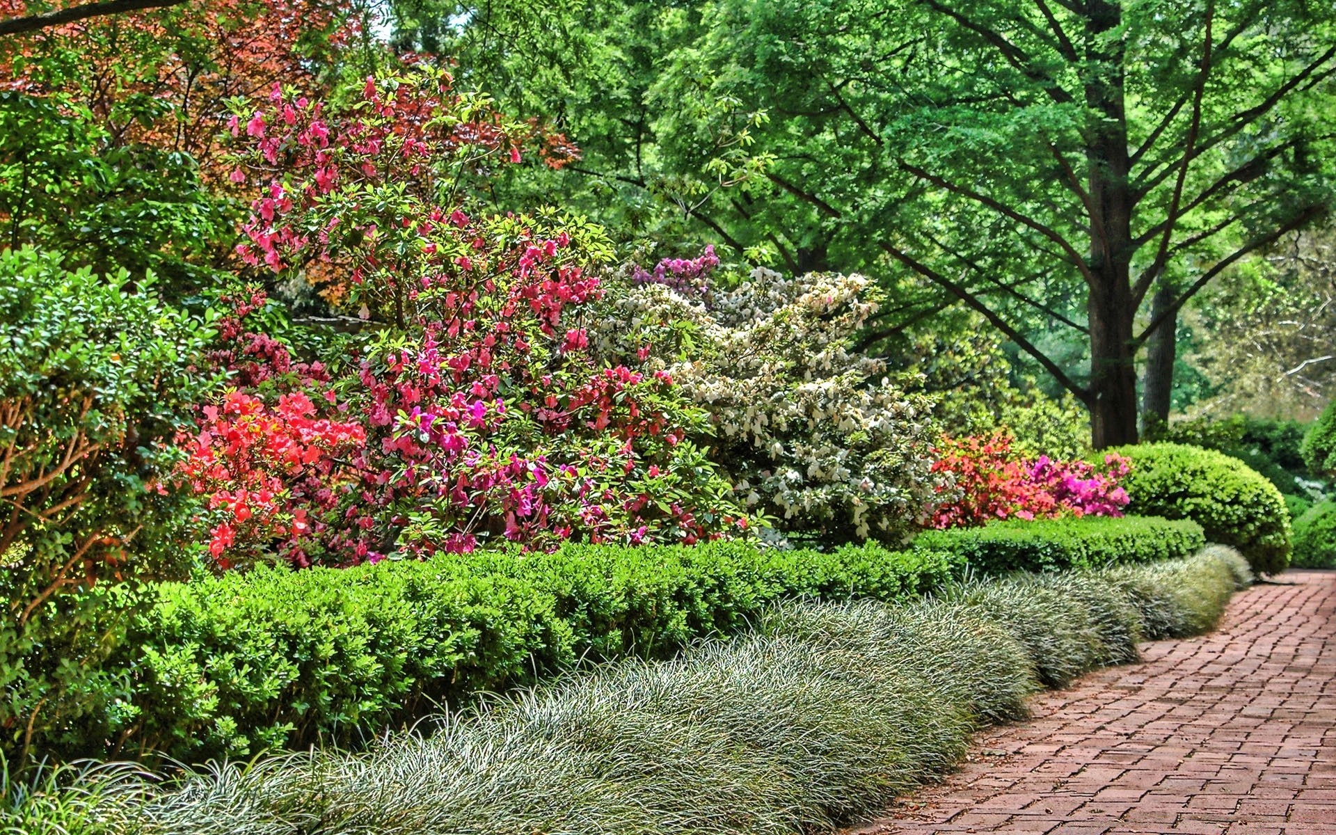 yaratıcı bahçe çiçek ağaç doğa yaprak çalı flora park sezon manzara büyüme açık havada yaz arboretum patika botanik ahşap