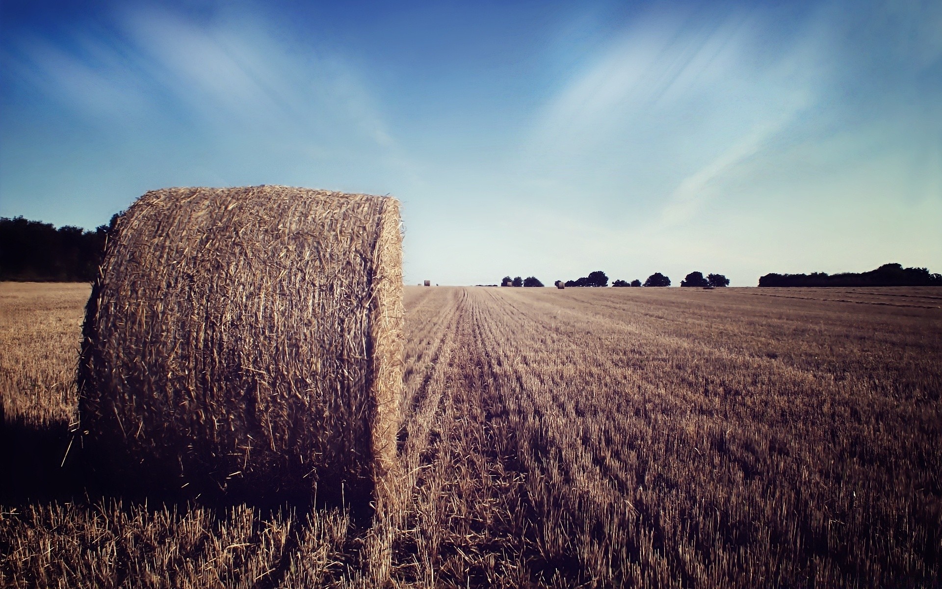 creative agriculture wheat hay landscape farm straw cereal rural sky field pasture outdoors countryside crop cropland nature corn bale fall