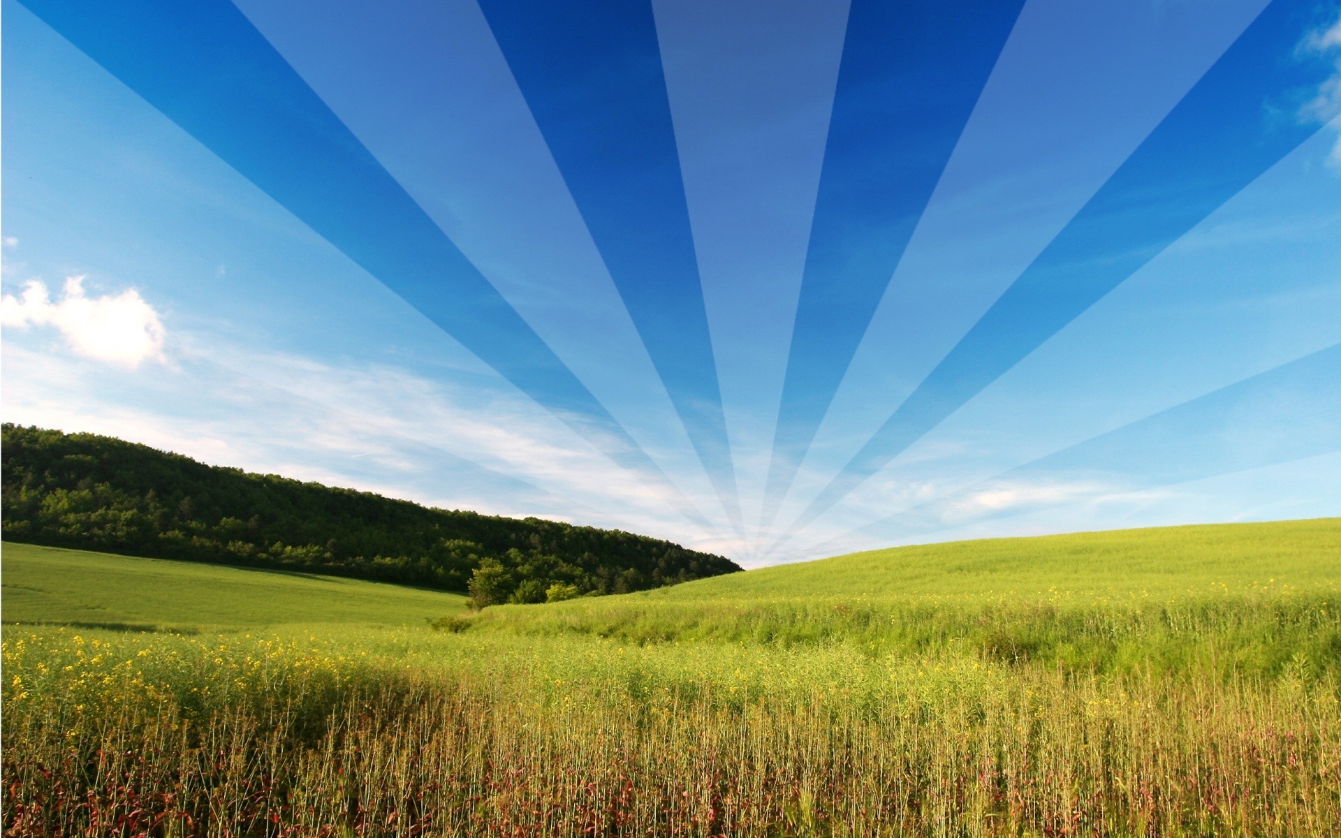 creativo erba natura cielo rurale campagna campo paesaggio bel tempo sole estate luminoso fieno