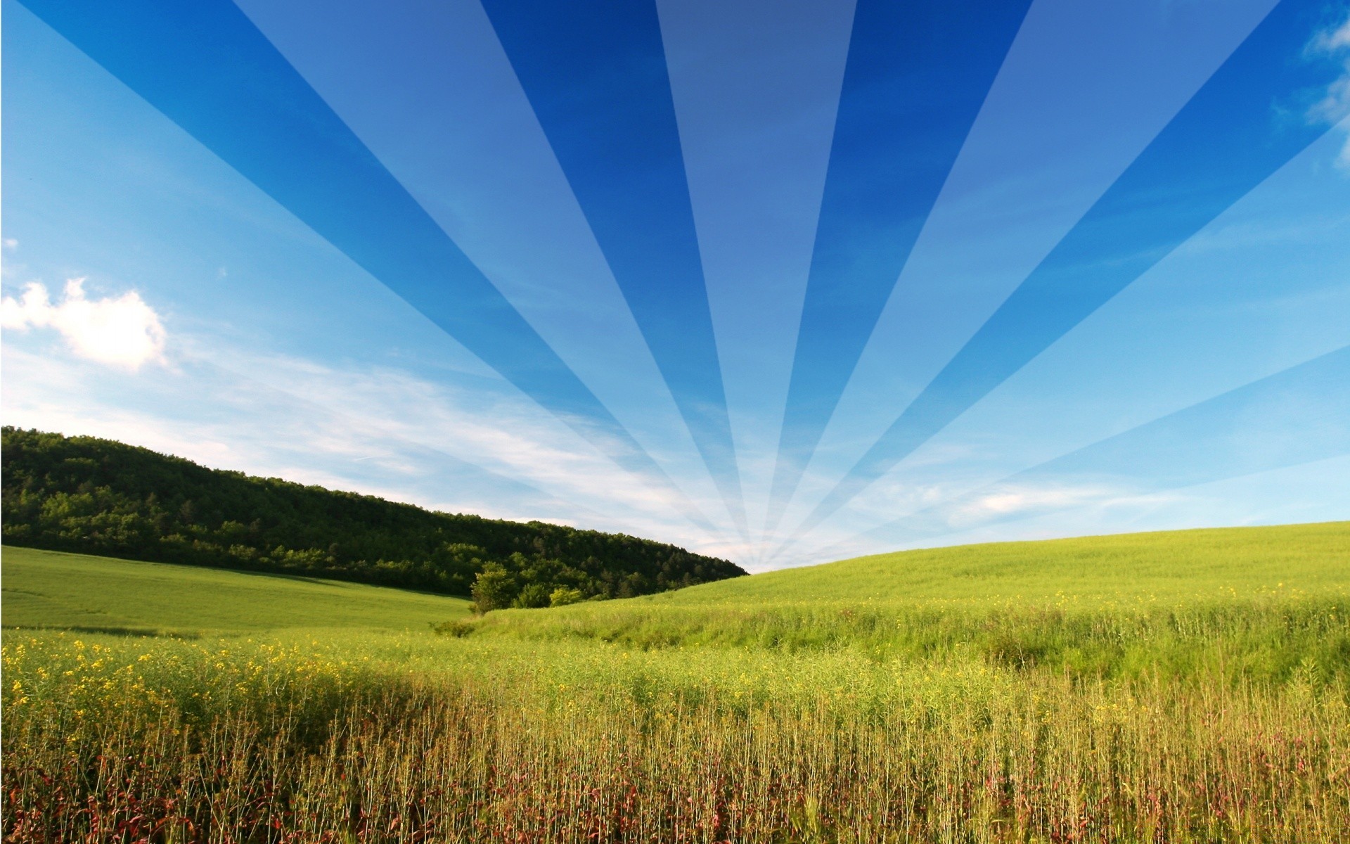 креатив трава природа небо сельских сельской местности поле пейзаж хорошую погоду солнце лето яркий сенокос
