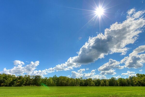 Field trees landscape sun clouds