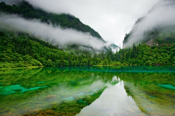 Hermoso paisaje del lago con niebla