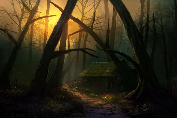 The old hut hid in the thicket of the forest