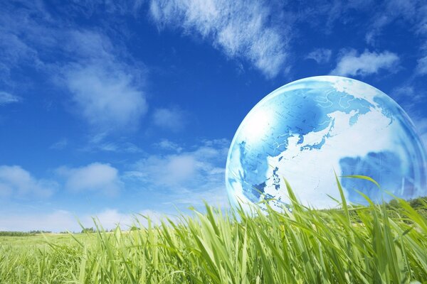 Big globe grass and sky