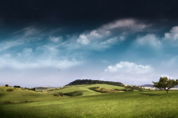 Fabulous landscape of alpine meadows