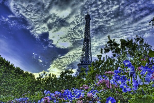 Eiffel Tower and lavender