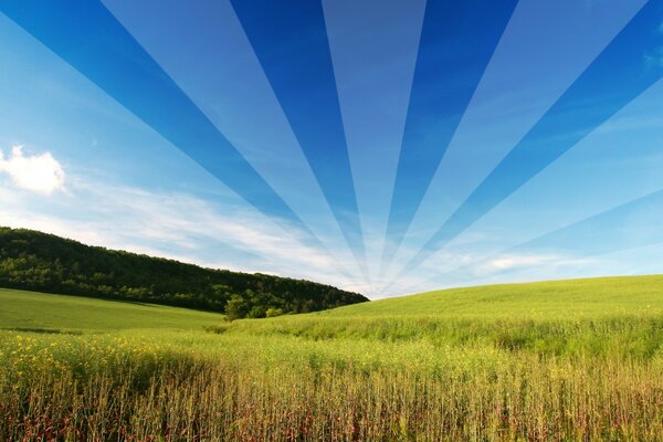 Creative sky over a green field