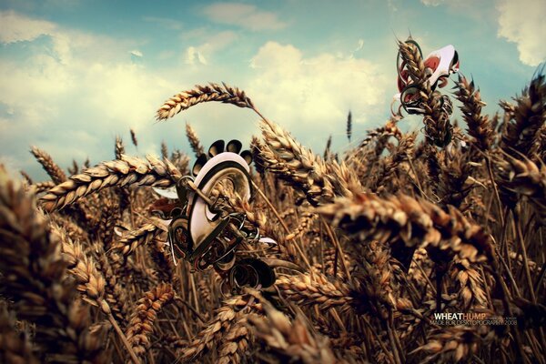 Wheat harvest in a large field