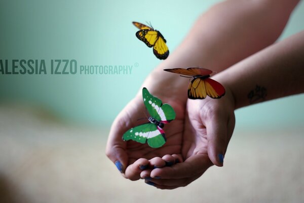 Mariposas volando alrededor de las manos de las mujeres