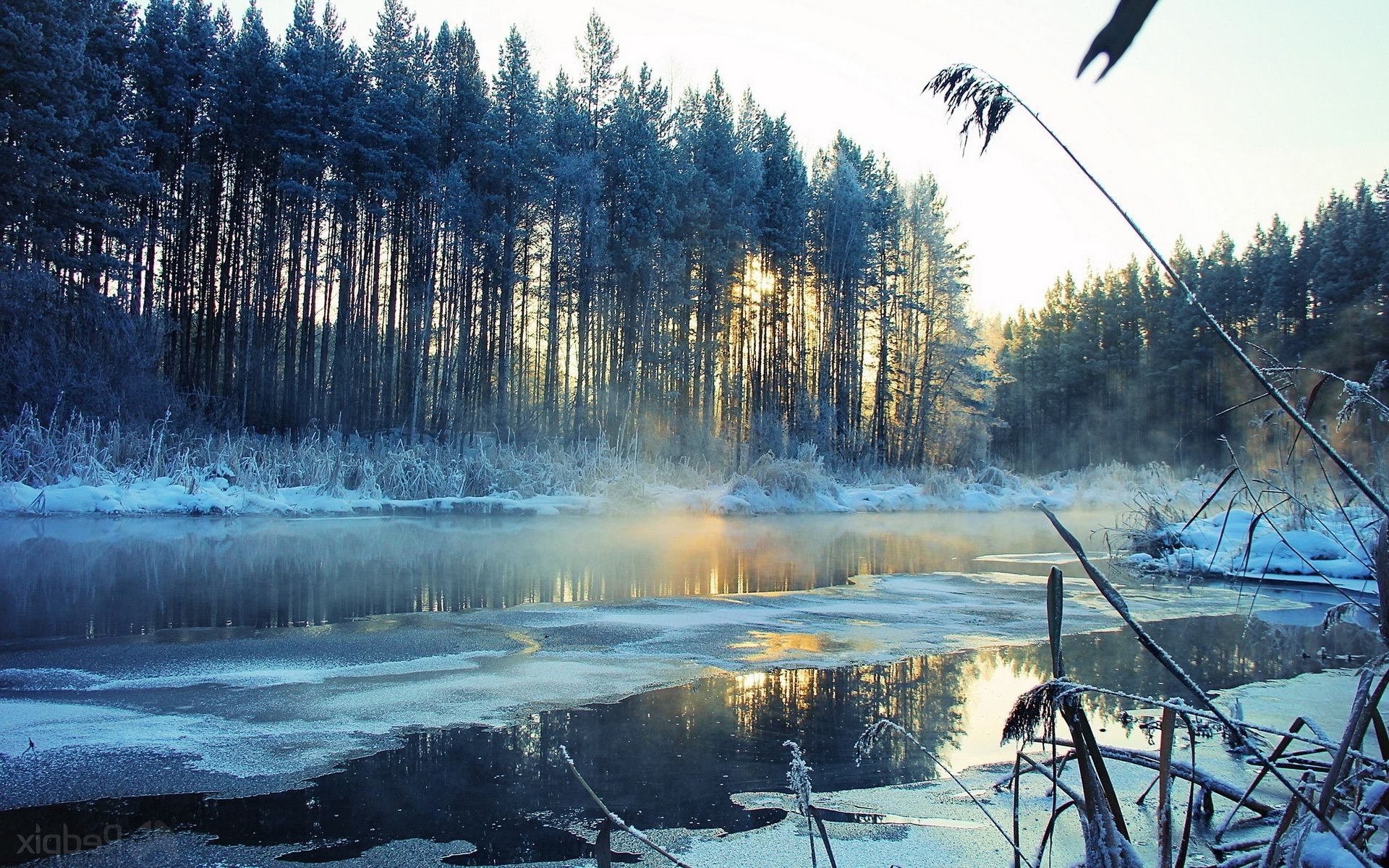 rivers ponds and streams snow winter wood water landscape tree lake cold nature outdoors river