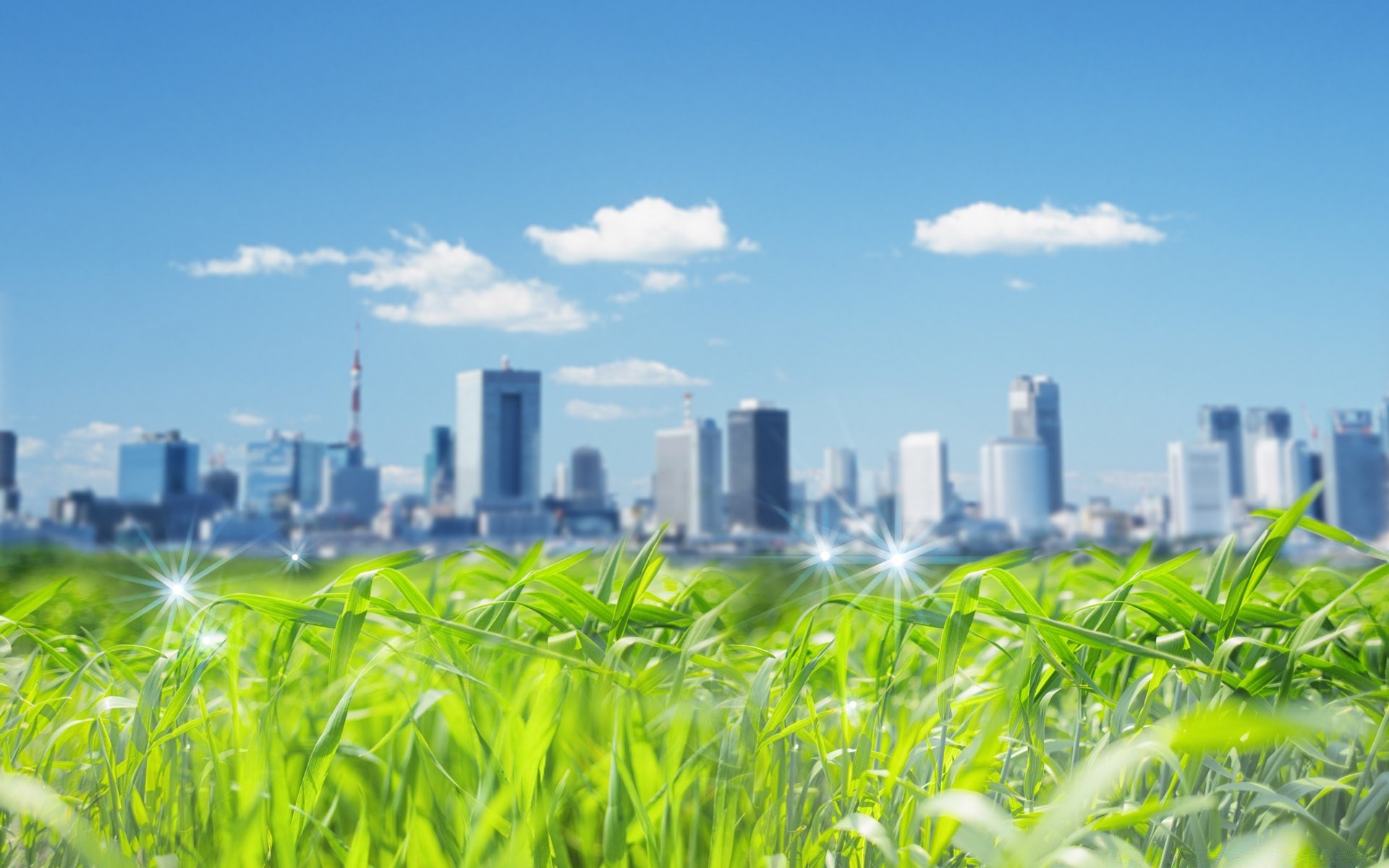 criativo campo céu grama natureza ambientes verão crescimento sol ecologia