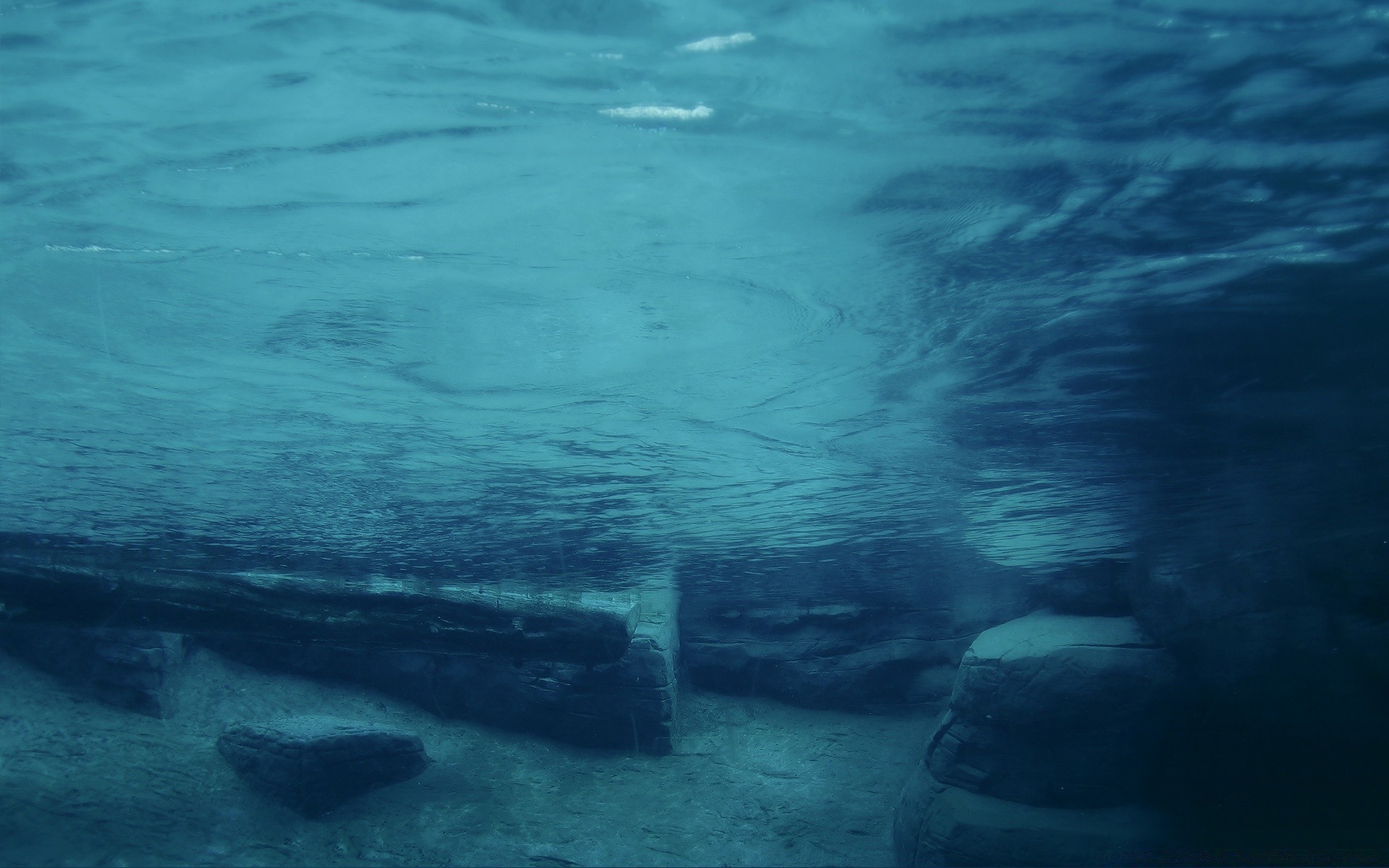 creativo subacqueo acqua oceano mare paesaggio nuoto pesce natura paesaggio