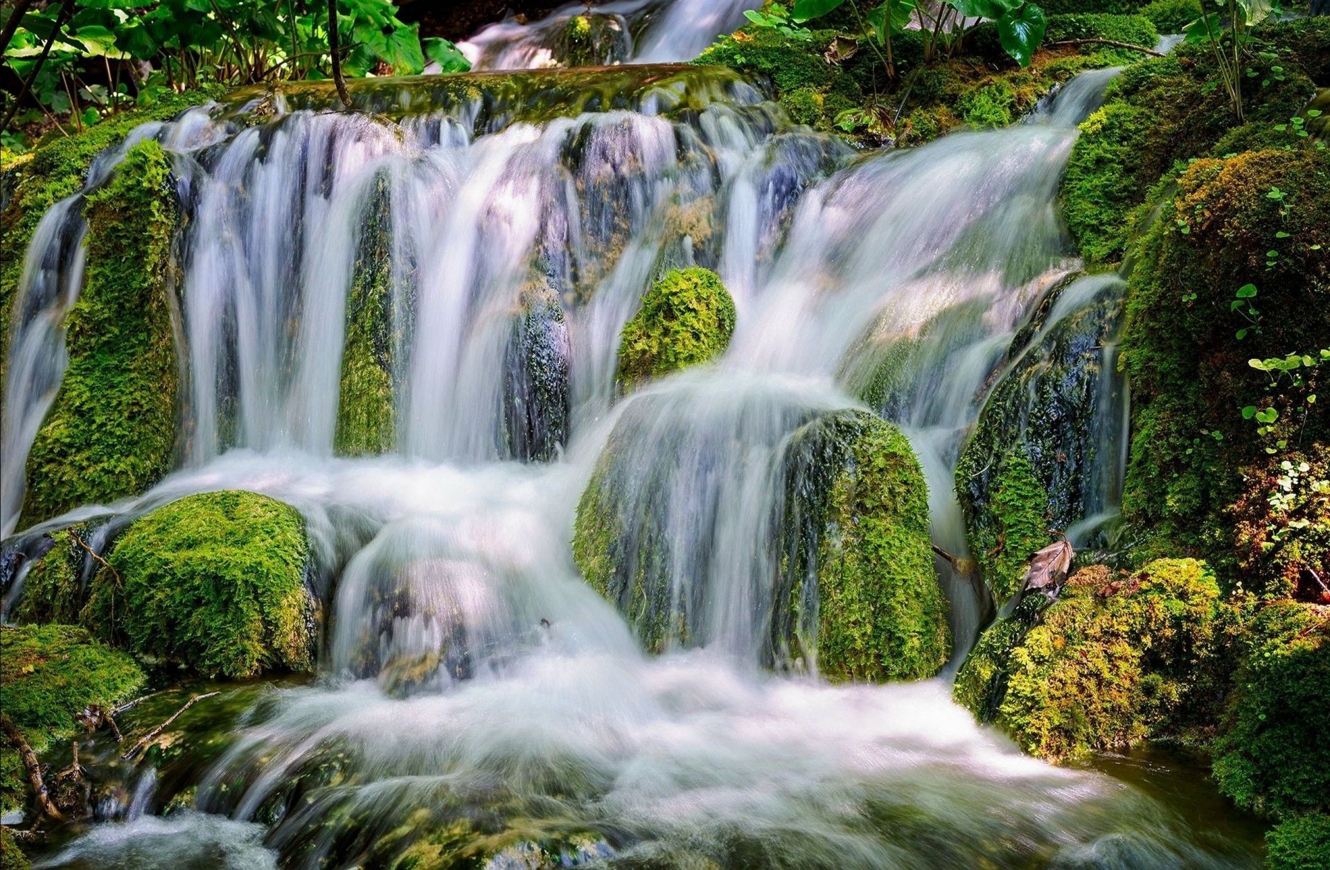 cascadas cascada agua corriente naturaleza cascada musgo río otoño corriente madera roca grito hoja mojado piedra paisaje salvaje splash parque