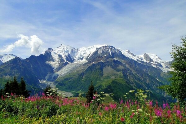 बर्फीली चोटियों और फूलों के साथ पहाड़ का परिदृश्य