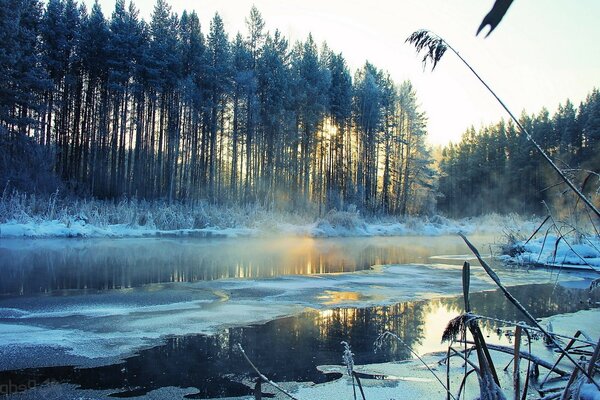 Winter landscape of nature by the river