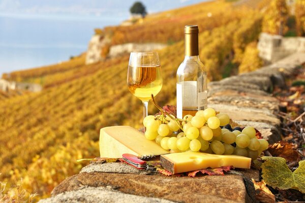 Piccolo picnic in montagna