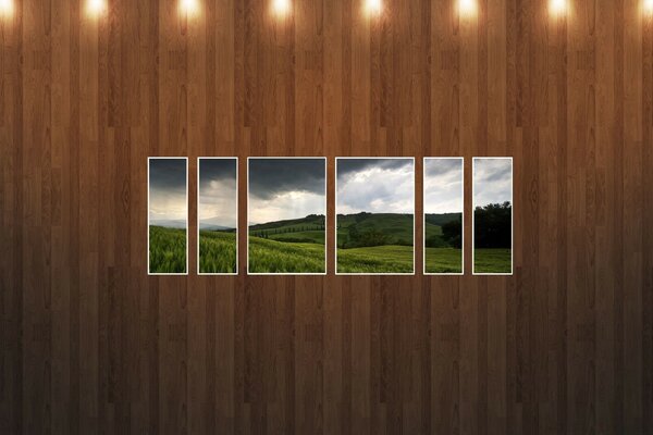 Green wheat fields image wooden walls