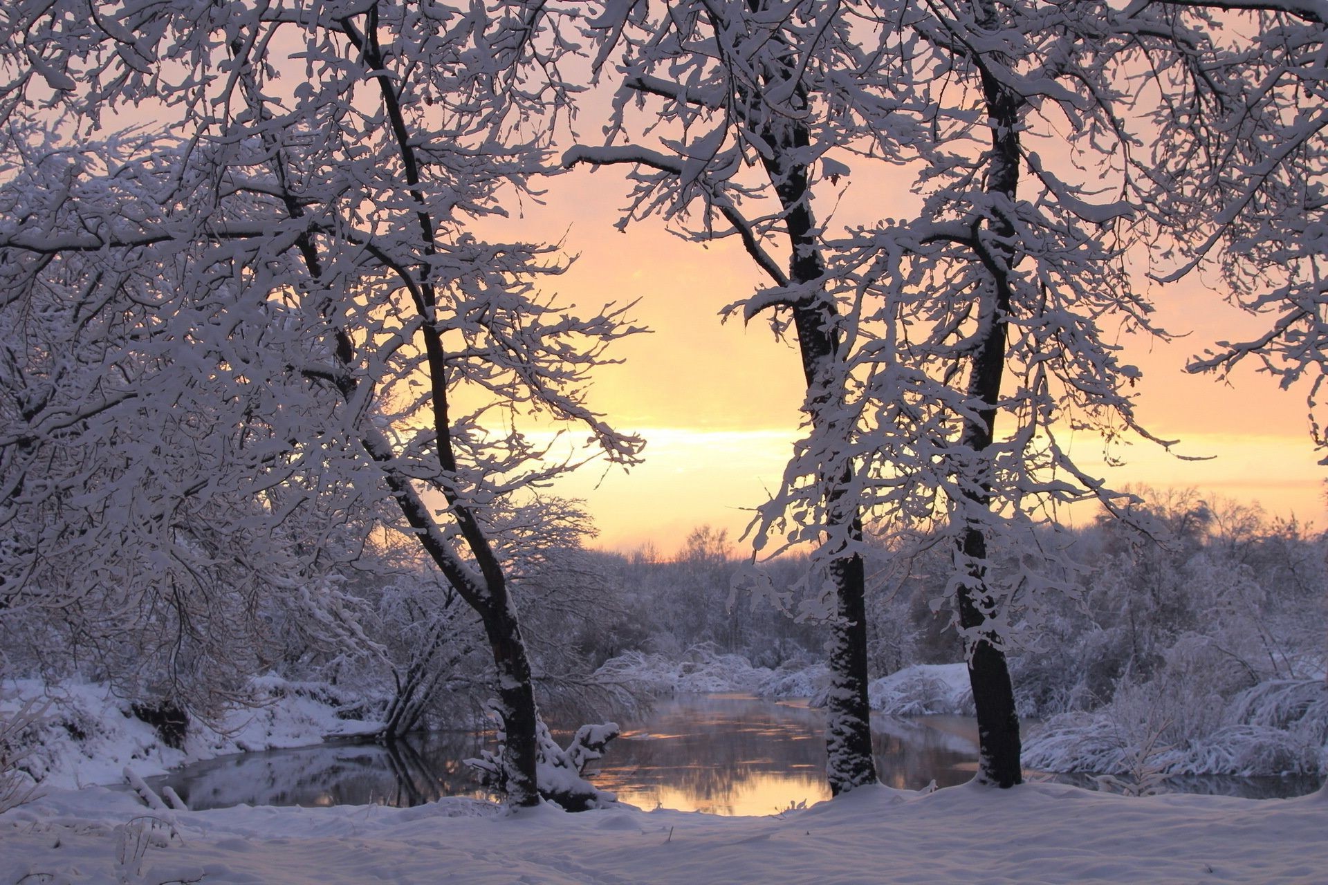 озера дерево снег зима пейзаж древесины филиал холодная живописный мороз сезон природа замороженные погода лед парк на открытом воздухе