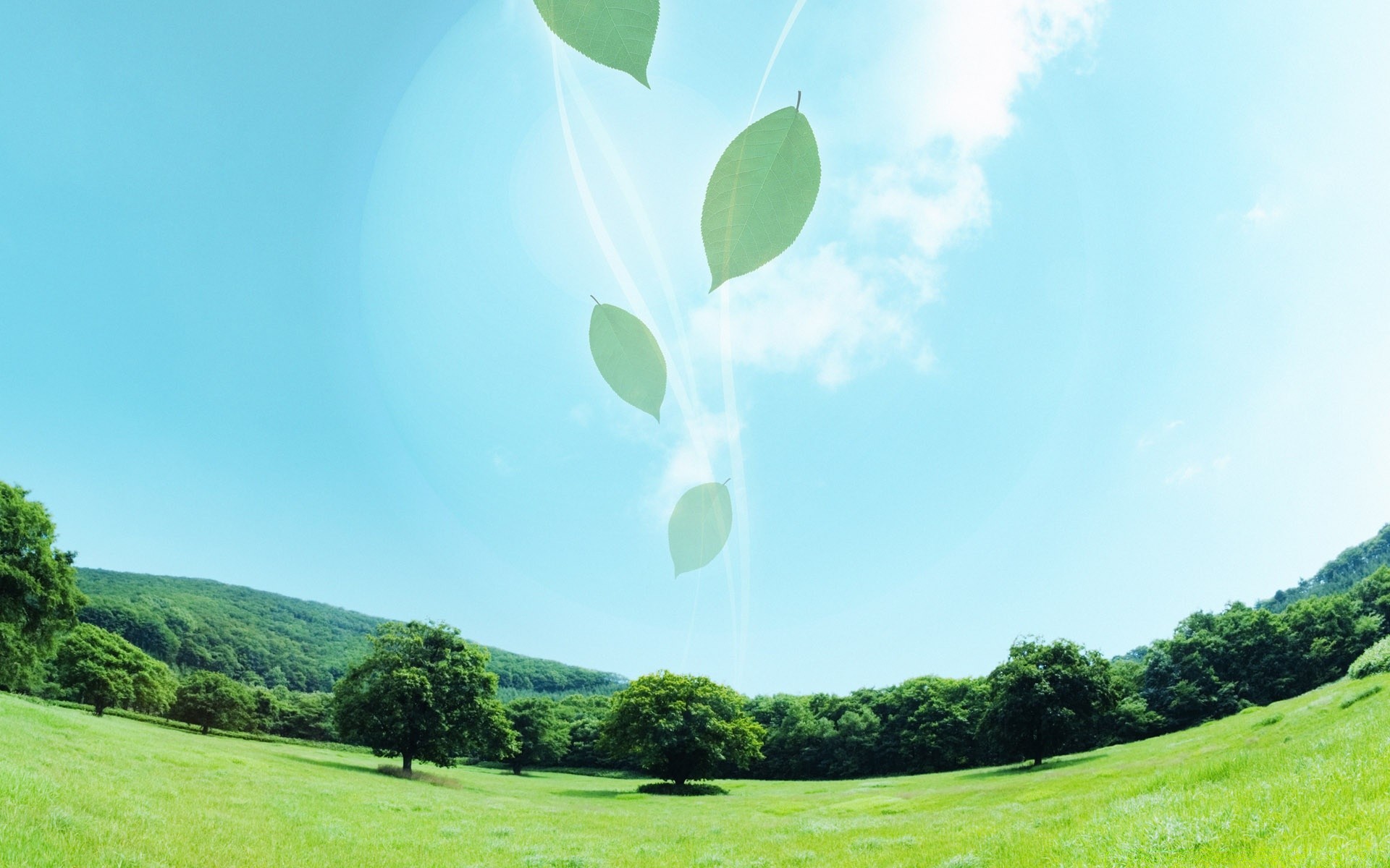 kreativ natur gras landschaft heuhaufen himmel sommer flora baum umwelt feld rasen im freien des ländlichen raumes jahreszeit gutes wetter landschaft desktop hell sonne