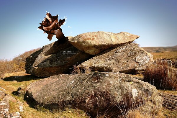 Creative stones in a yellow landscape