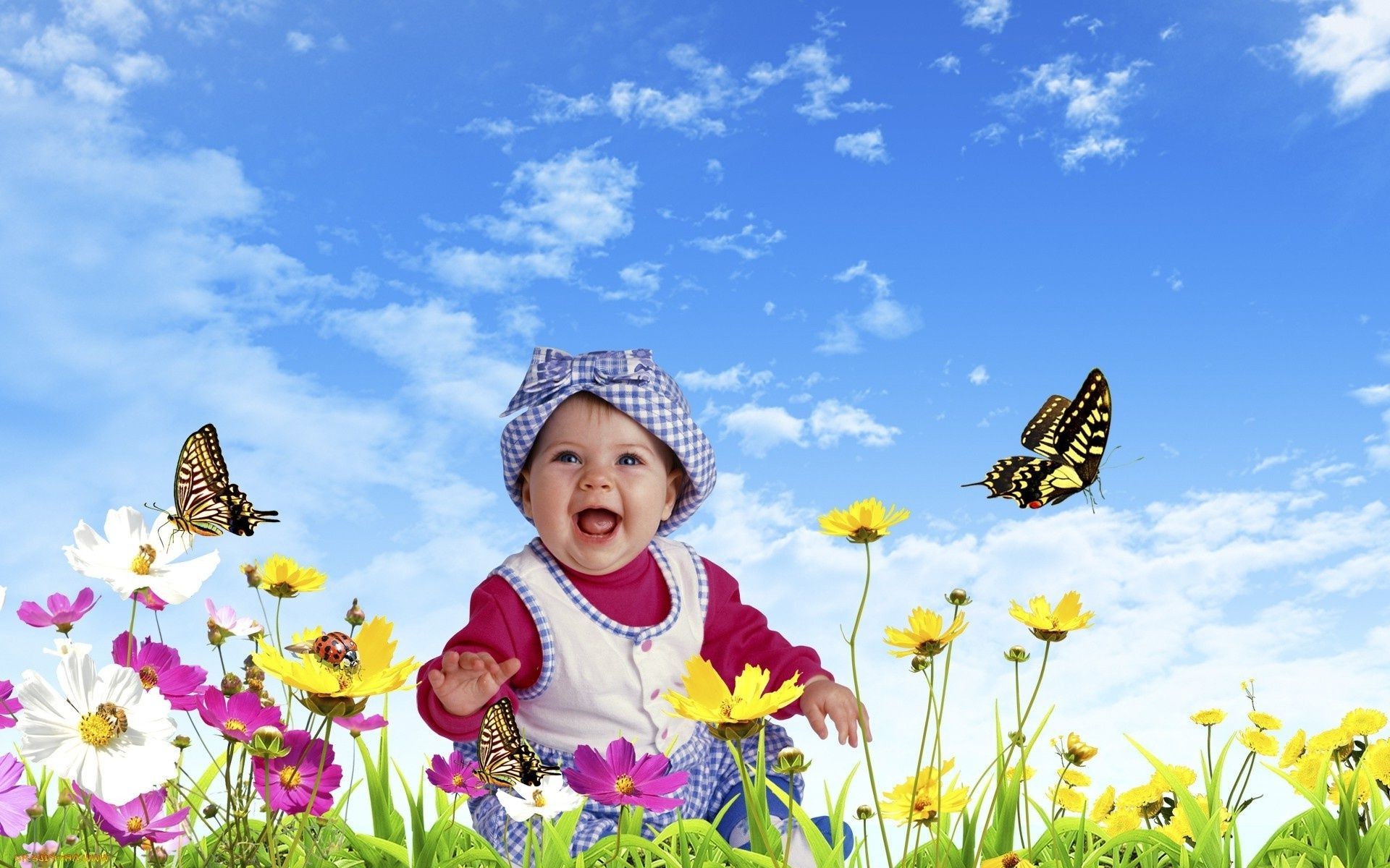 смеющиеся дети лето природа цветок на открытом воздухе ребенок трава сенокос красивые хорошую погоду мало поле небо солнце