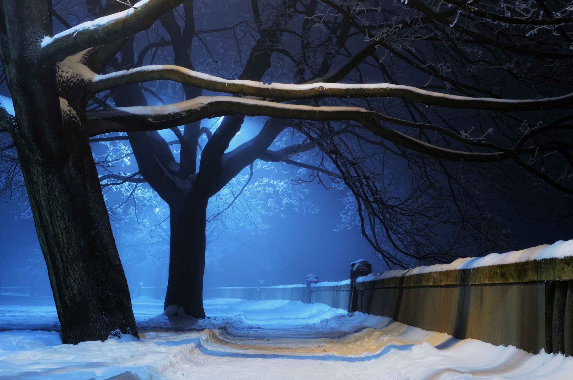 зима снег дерево холодная пейзаж воды древесины свет лед рассвет озеро погода природа вечером замороженные
