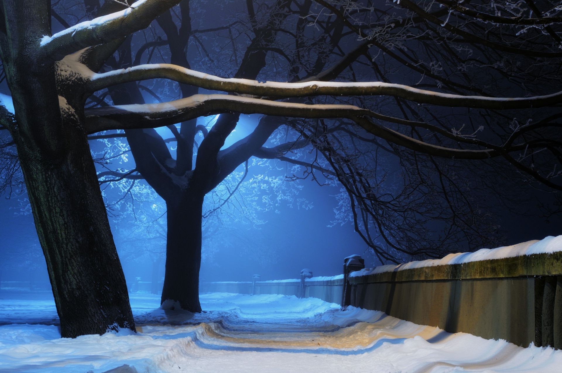 invierno nieve árbol frío paisaje agua madera luz hielo amanecer lago tiempo naturaleza noche congelado