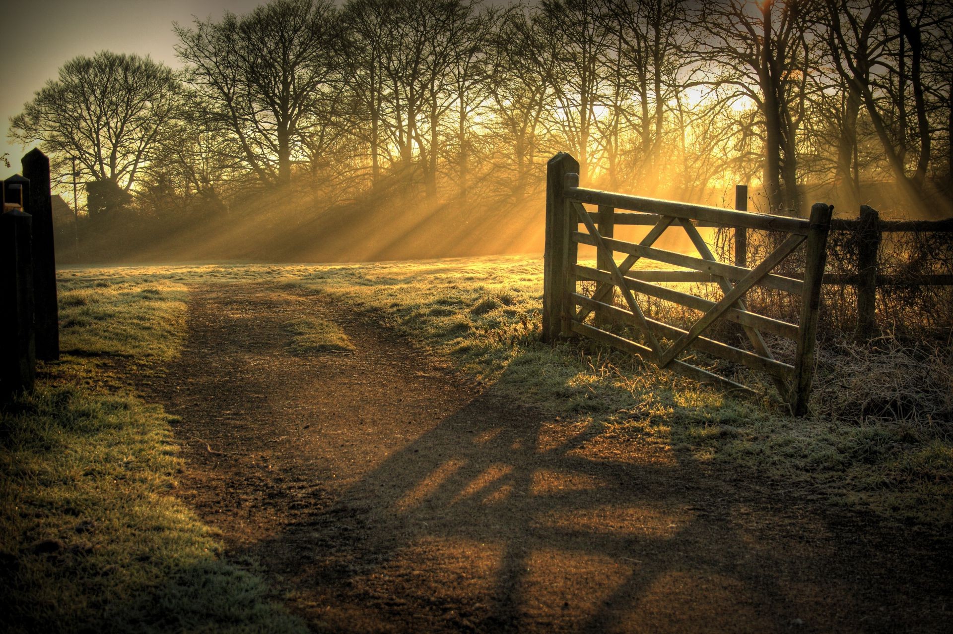 landscapes dawn fog landscape tree sunset light mist bench wood shadow fall evening road winter nature sun backlit park