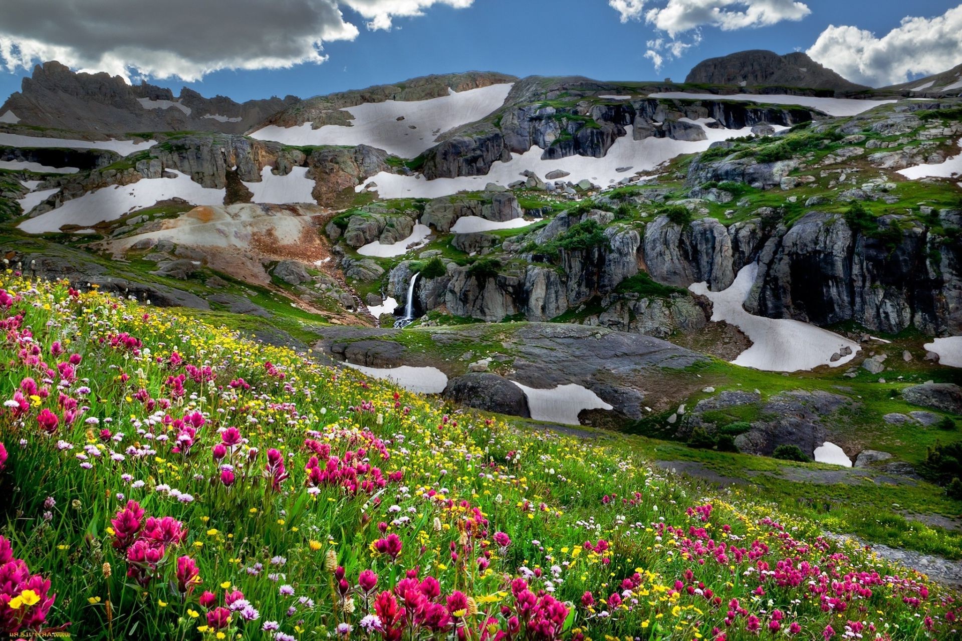 поляна цветы горы скачать