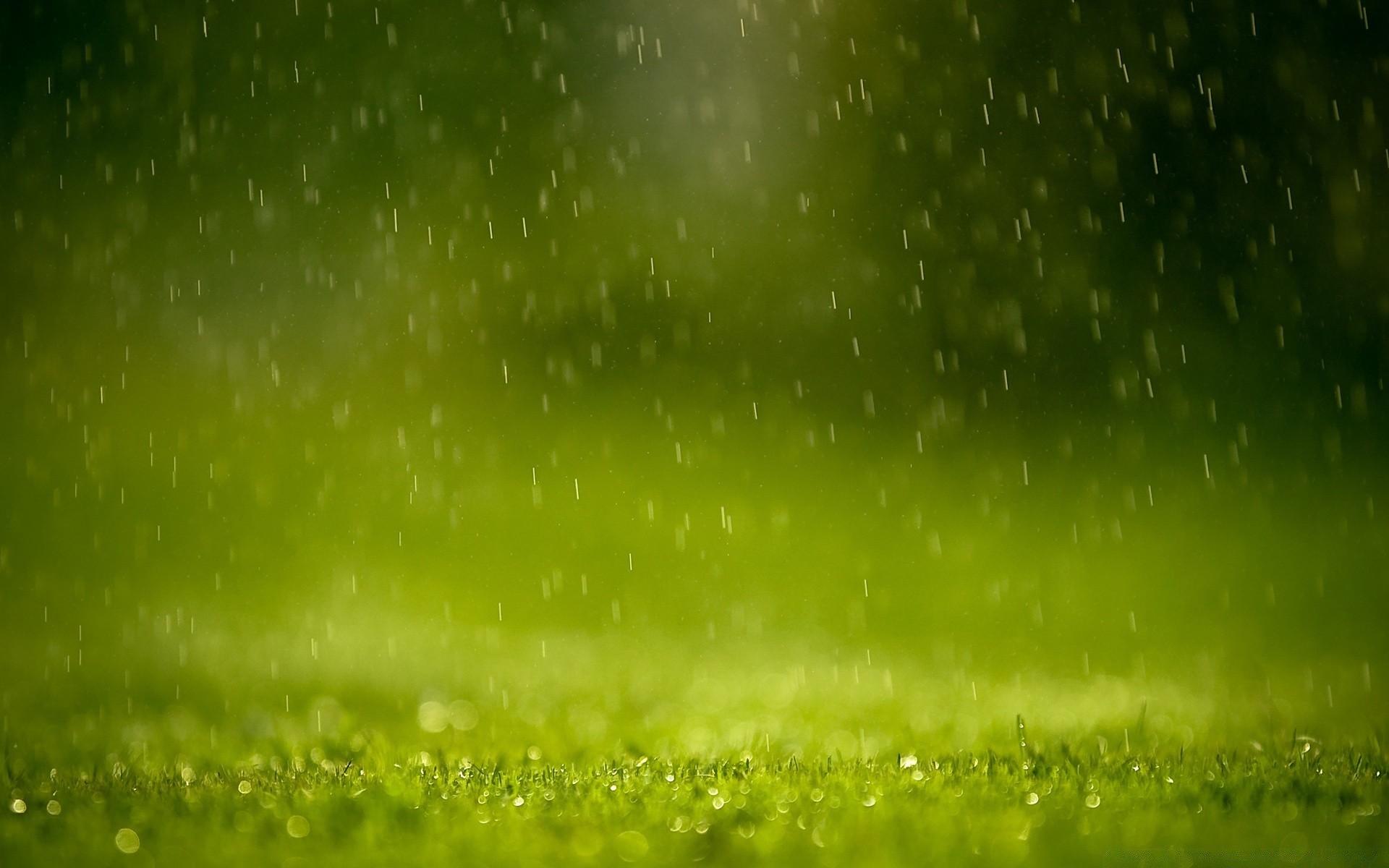 gotas e água orvalho resumo grama área de trabalho natureza água luz chuva verão queda brilhante papel de parede brilha jardim cor folha textura molhado sol borrão