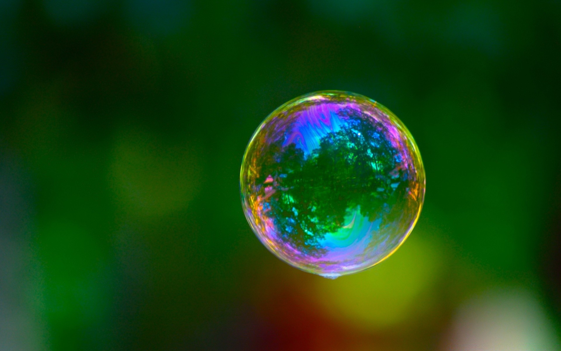 droplets and water round water nature bright blur ball-shaped ecology