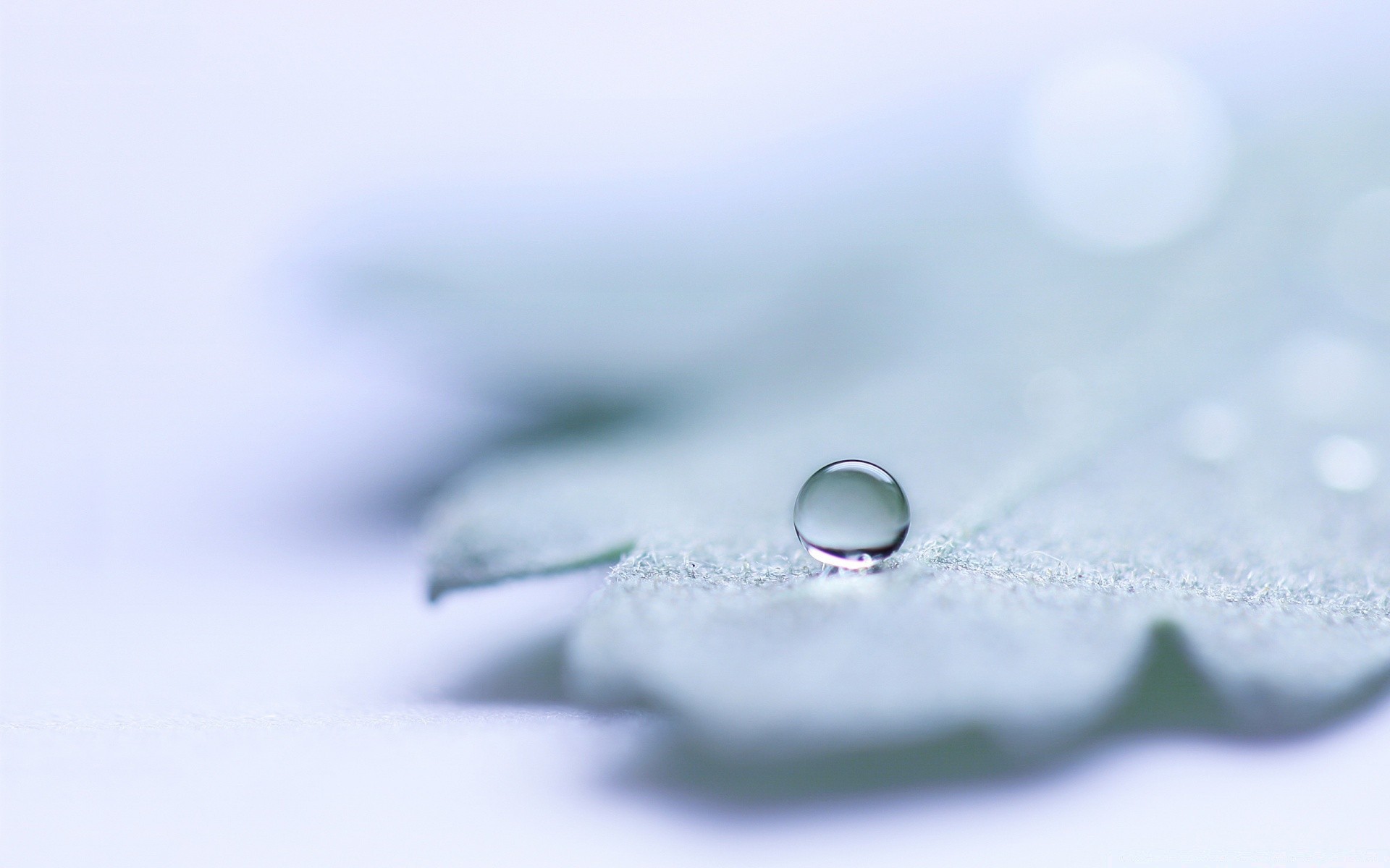 tröpfchen und wasser desktop schließen abstrakt leuchten wasser sauber tropfen regen reflexion flüssigkeit verständlich