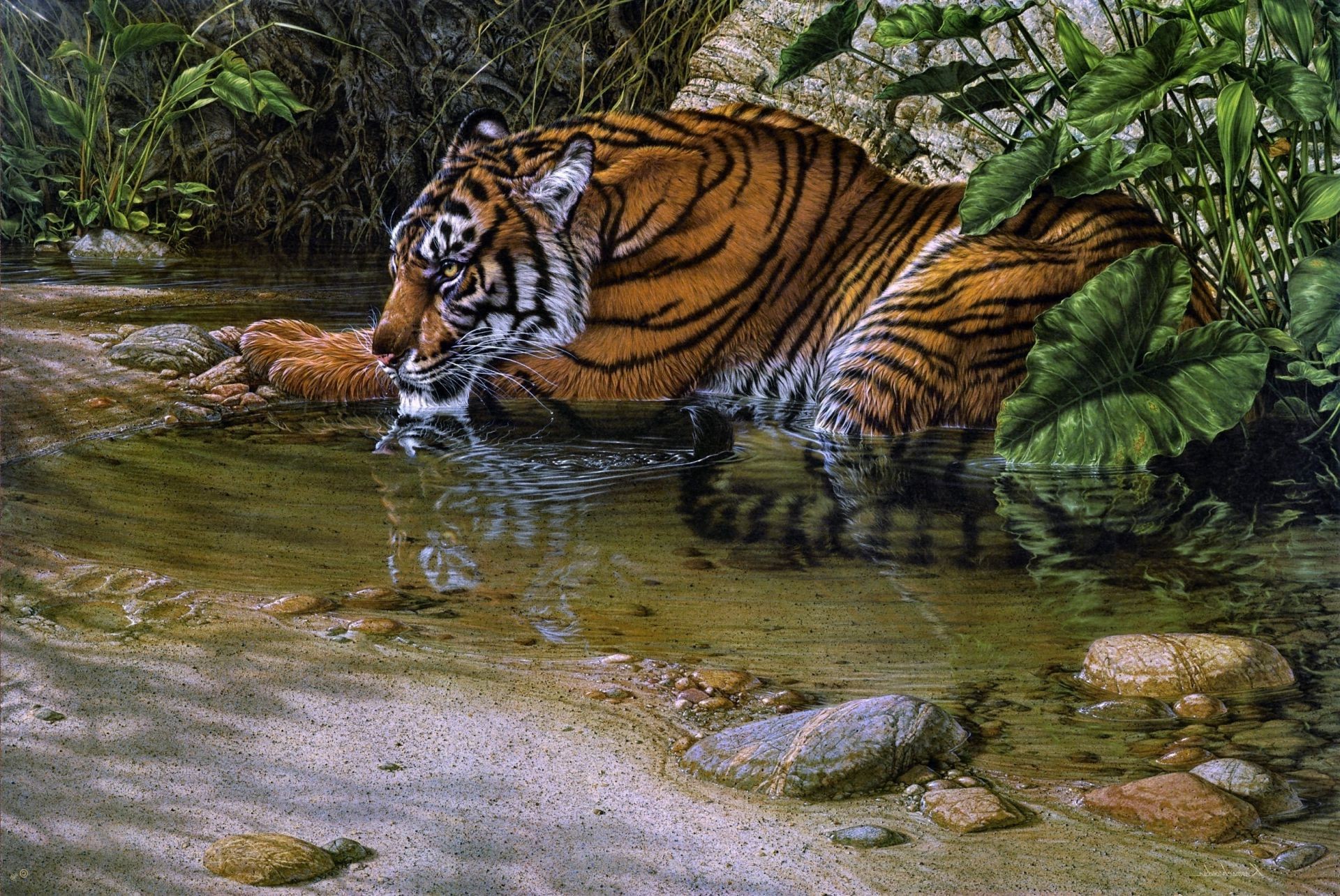 Тигр в джунглях без смс