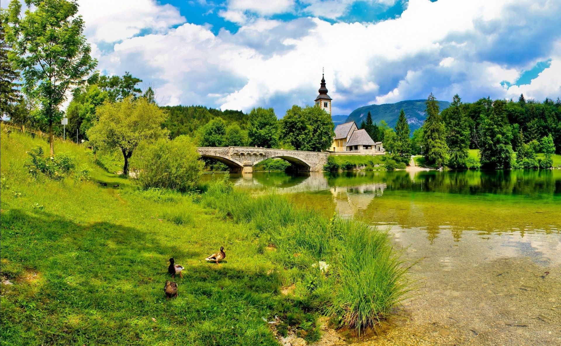 landscapes nature tree landscape outdoors travel grass summer water sky wood river lake scenic