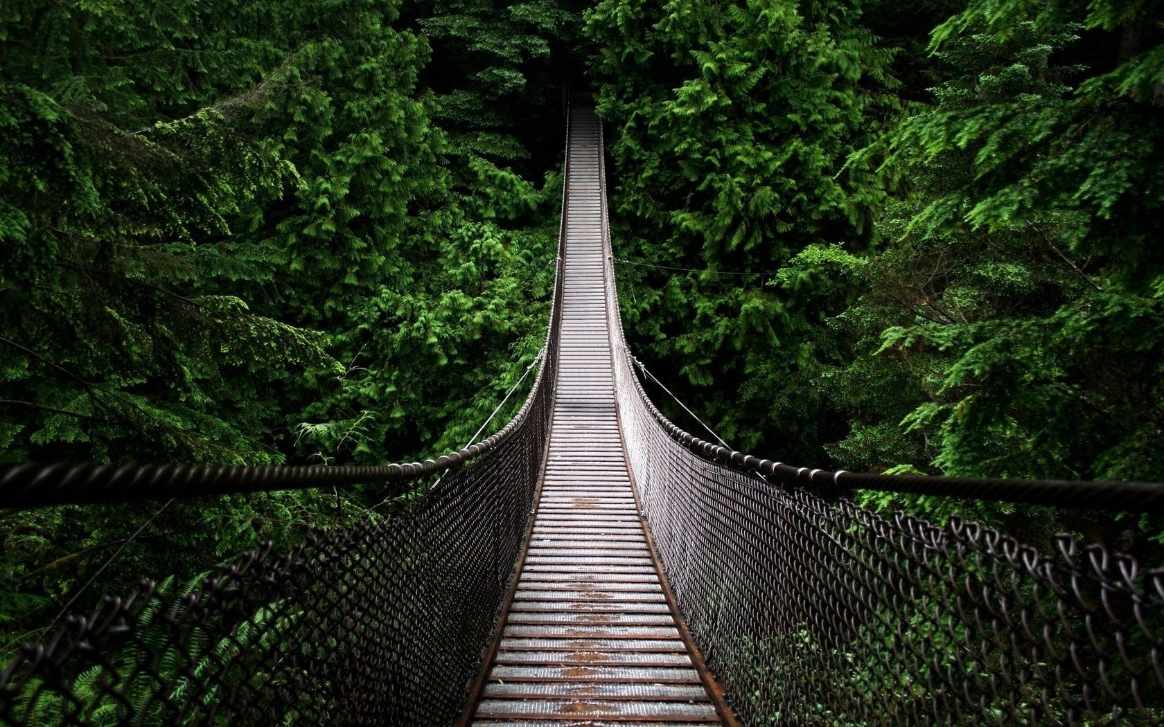 пейзажи древесины мост дерево природа пейзаж путешествия парк лист руководство на открытом воздухе воды прогулка мостки след река