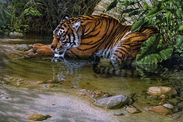 Tiger lying in the water among the bushes