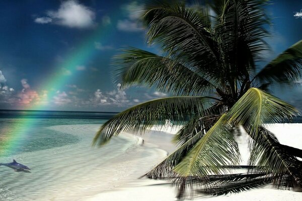 Wallpaper with tropical beach, ocean and rainbow on top