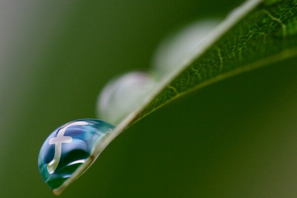 Gota de rocío en una hoja verde