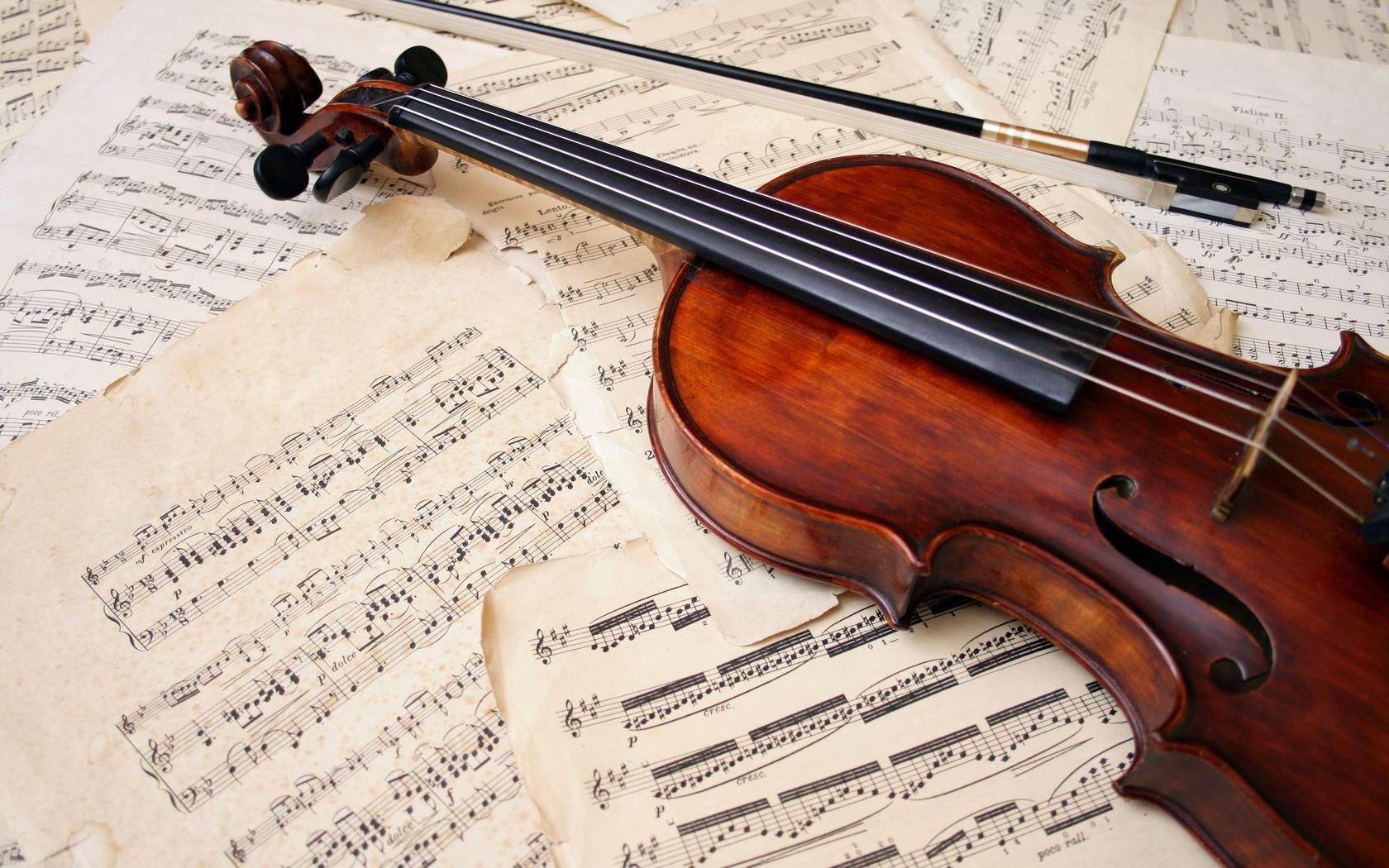 instrumentos musicais violino música clássica sinfonia clássico madeira viola orquestra violinista instrumento instrumento de corda nota violoncelo música antiguidade músico arco harmonia som vintage