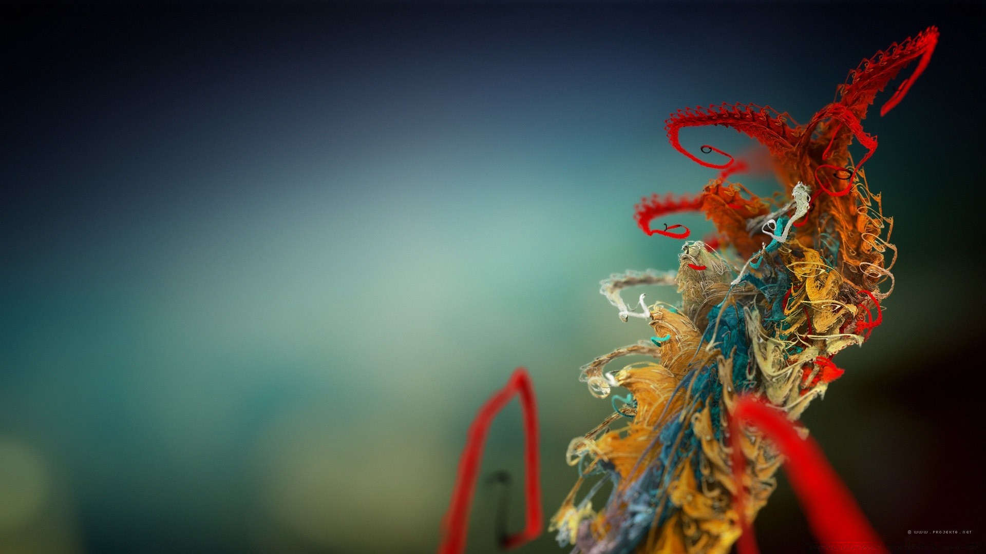 plants nature flower blur light