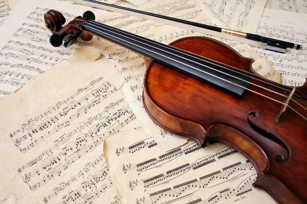 Violon instrument de musique classique