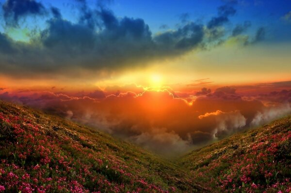 Sunset in the blooming mountains above the clouds